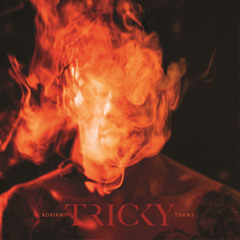 Tricky feat. Tirzah - Sun Down