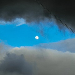 Mushroom Song (demo)