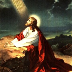 HOLY PRAISE