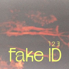 k8 123 fake id
