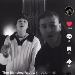 Thor Farlov x Willum - Ik' tag det personligt (unreleased / leak / tiktok)