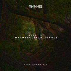 AVINHO | THIS IS INSTROPECTION JUNGLE | AFRO HOUSE MIX