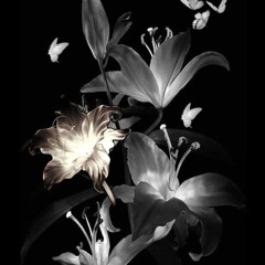 REST AT NIGHT PROD Syphun