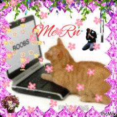 ホワイトハッピー R3 Music Box