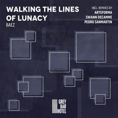 Baez - Walking The Lines Of Lunacy (Swann Decamme Interpretation) [Grey Bar Hotel]
