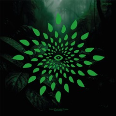 Traversable Message - Vida [Digital Bonus Track]