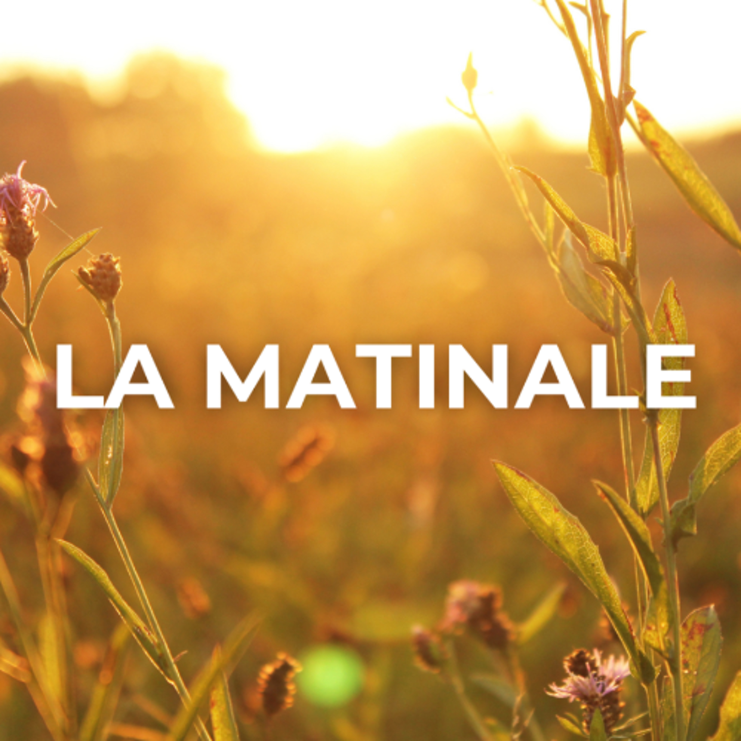 20251117-lamatinale 20251117-lamatinale