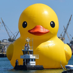 Ducks will rule the world, obviously