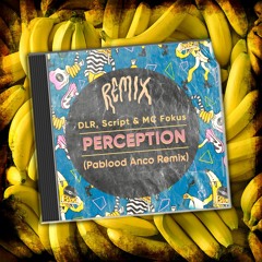DLR, Scritp & MC Fokus - Perception (Pablood Anco Remix) [FREE DOWNLOAD]