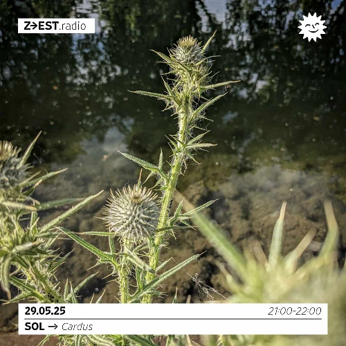 SOL - Cardus Soundcloud podcast image for