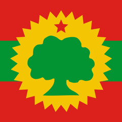 NEW OROMO MUSIC - YasiinBouba & OGE-R & ADIL - ROSAMO (Official Audio)