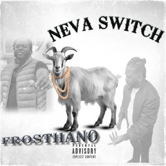 NevaSwitch