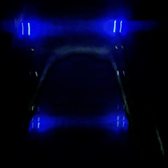 BleedingBass trxnchxz