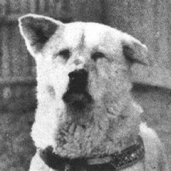 Double Two 8 {revised}