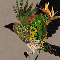 Autumn Leaves Return