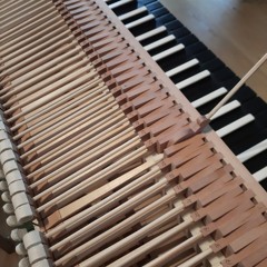 Domenico Scarlatti, Sonata in G Minor, K 12, on Silbermann Piano (7 - 23)