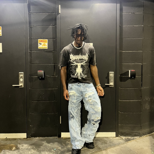 Stream asonite - phoenix fly [prod: voltage + asonite] [@djgren8de ...