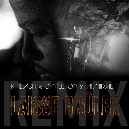 Laisse brûler (Remix) [feat. Admiral T & Capleton]