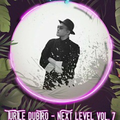 TURTLE DUBTRO - NEXT LEVEL VOL. 7