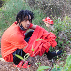 STRIKE-HOLSTER {REMIX} (REPROD. BY YBH)