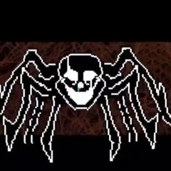 aranea shredin' it ;P