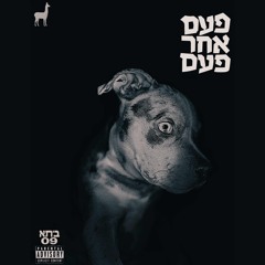 פעם אחר פעם | ליג׳ מולה