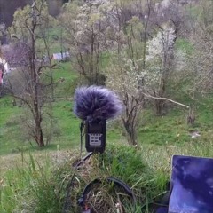 Sonic Research In Apuseni Mountains - field recordings