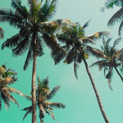 Palm City