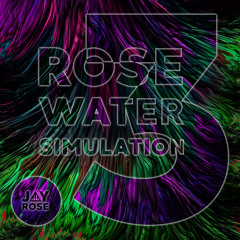 Jay Rose - RoseWaterSimulation.3