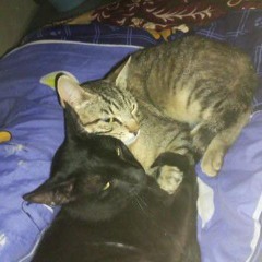 mwah
