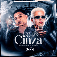 TIPO 50 TONS DE CINZA - MC MENOR HR E DJ ARTHUZIIN