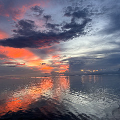 Liquid Horizon