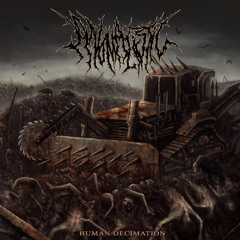 Anomalistic - Human Decimation