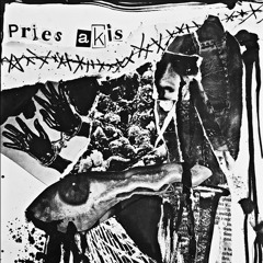 [RWCLTR021] Shaknis & Egzotikka - Pries Akis  [300 Limited Vinyl Edition]