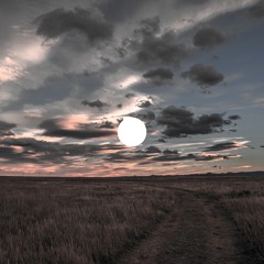 Phangrab / Horizon