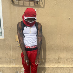 Kroogmula- Betta Duck