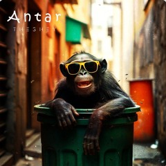 Antar - Theshey