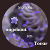 anemone 010: angekaut b2b Tovar DJ mix artwork - Electronic music tracklist cover image
