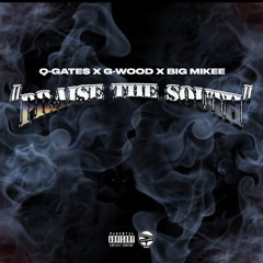 Praise The South - Q-GATE$ x G-WOOD x BIG MIKEE (SOUTH POLK) (music video on youtube)