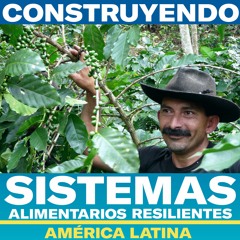 Constuyendo sistemas alimentarios resilientes en América Latina