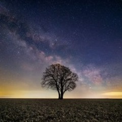 Starlight Story