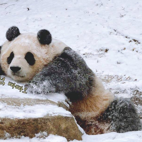 Khóc Một Mình x Đau ở đây này