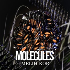 Melih Kor - Molecules (Extended Mix) [INJ01]