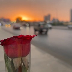 البلابل - حبايبنا