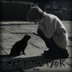 cat in the park