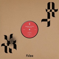 Tapefeed, Z.I.P.P.O | Dual Dimensions | FIDES020
