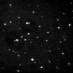 Dear, In The Headlights