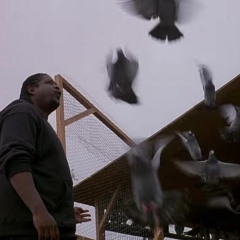 daspyte - dove *essence & 222pmb* [SWEUNDERGROUNDEXCLUSIVE]