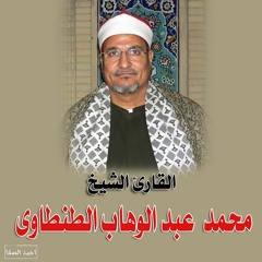 الشيخ محمد عبد الوهاب الطنطاوى .. سورة النجم والعلق والقدر والزلزلة والفاتحة