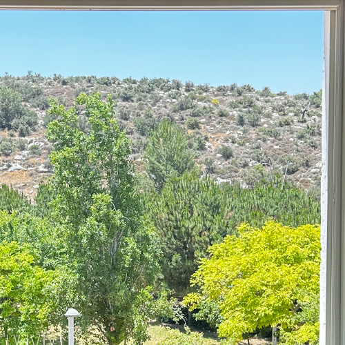 How Do I Feel Lately\\Spring Mix